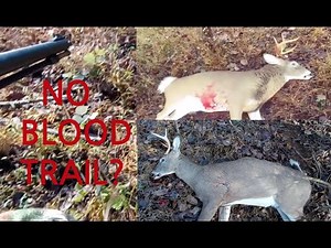 Powerbelt .50 cal. copper bullet performance n problem, no blood trail. Copper bullet pros n cons.