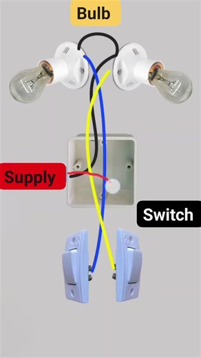 How to Control Two Light Bulbs Independently with Two Switches #electrical #electricalengineering