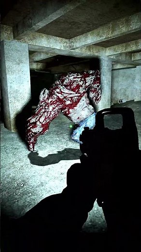 this is what you can do in Left 4 Dead 2 with mods 36