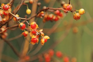 30 November Writing Prompts to Keep You Creative