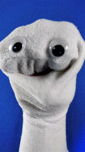 financial advisor #funny #puppet #memes #comedy #socks #comedyshorts