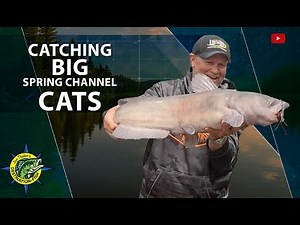 Catching Big Spring Channel Catfish | Jon Thelen’s Destination Fish