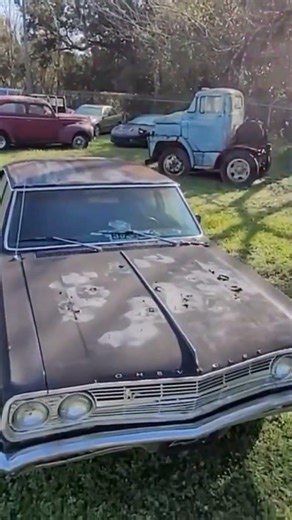 ROADSIDE BADASS CARS!