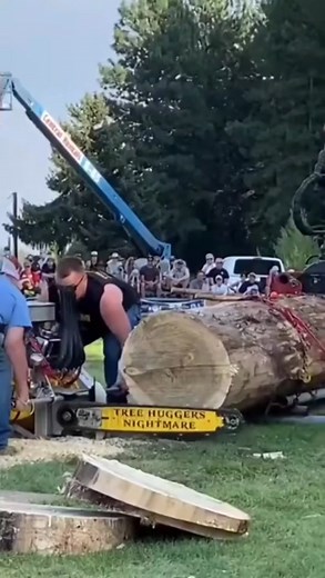 fastest chainsaw ever #Husqvarna #Stihl #Stihlusa #Chainsaw #Treecutting #Howtocutdownatree #stihlchainsaw #diy #stihlchainsaw #wood #bobthetoolman