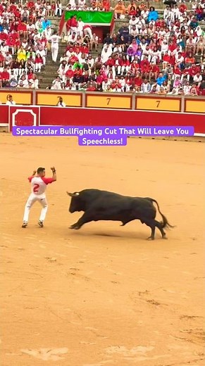 Spectacular Bullfighting Cut That Will Leave You Speechless! #shorts #spectacular #bull #fighting