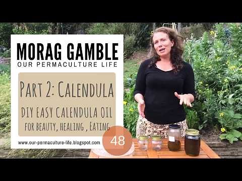 Homemade Calendula Oil / This is how I make pure calendula oil from 2 ingredients
