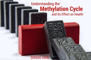Understanding the Methylation Cycle and Its Effect on Health - Doctor Doni