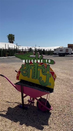 20K views · 526 reactions | Welcome to Cactus Country  | Cactus Country | Facebook