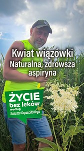 84K views · 2K reactions | Wiązówka błotna to bogate naturalne źródło...