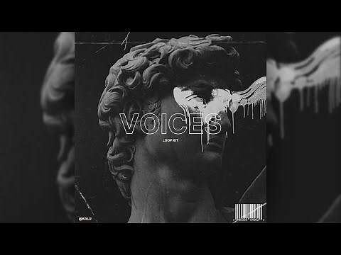 [FREE] Orchestral Loop Kit/Sample Pack (Cinematic, Dark, NF, Hopsin) "Voices"