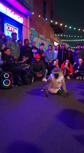 Hip Hop Dancing Monkey Stuns Crowds on American Street #tiktok #shortsviral #monkey