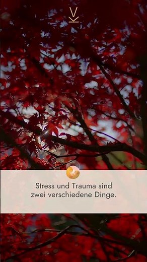 Stress und Trauma sind zwei verschiedene Dinge