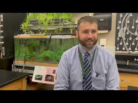 What are Phenomena? | Iowa Science Phenomena