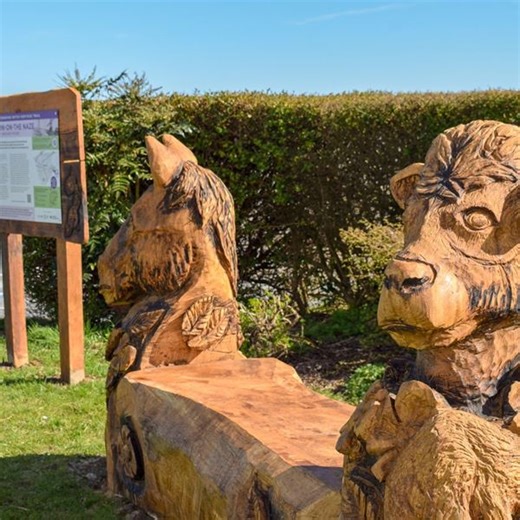 New immersive trail tells the story of Essex witch trials | University of Essex