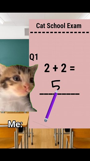 70K views · 2.6K reactions | Cat school exam #reels #bananacat #tiktok #treding #fyp #meme #like #catmemes #instagram #followforafollow | Catmemesedits | Facebook