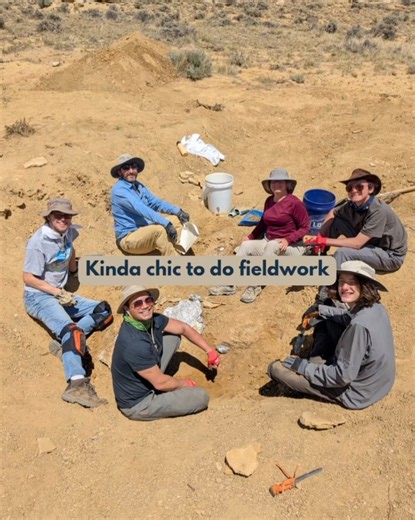 Chic things that paleontologists do 🪏🦕