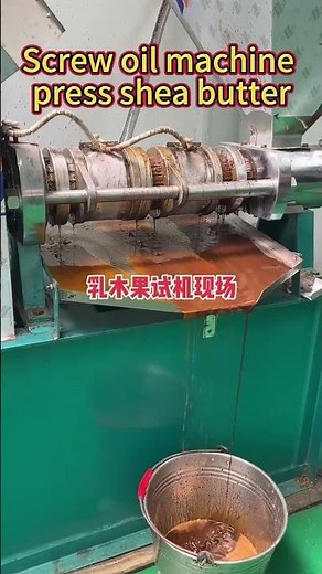 Screw Oil Machine Pressing Shea Butter Natural and Efficient! #oilextraction #oilpress #cookingoil