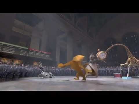 Tranquilizer darts - Madagascar