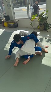 DOJO Dragon on Reels