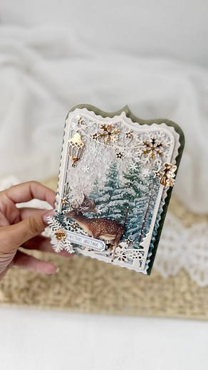 Shaker card is fun 🌲❄️ Advertising - @studiolight_nl Products used: Paper: SL-ES-UPP341 Unicolor paper pad winter wonderland SL-ES-PP210 Foil paper pad SL-ES-DPP338 Paper pad Winter wonderland SL-ES-DCPP335 Die cut paper pad winter wonderland SL-ES-STIC39 Christmas Stickers text SL-ES-ACS19 Printed acetate sheets Dies: SL-ES-CD1016 fairy glow SL-ES-CD1021 branches SL-ES-CD1017 fairy gifts SL-ES-CD1020 snowflakes Stamp: SL-ES-STAMP853 pine trees Tools: SL-ES-INKP06 ink pads brown SL-ES-WAX12 Met