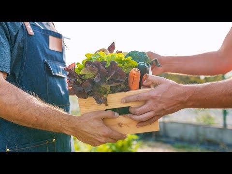 CACFP Meal Pattern Minute: Procuring Local Foods