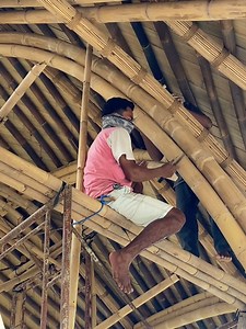 Finishing touches, to make the curved bamboos look as aesthetic as possible. Bamboo is a flexible natural material, potential for architects to create an organic building. It has a limited natural curvature, but there are bamboo construction techniques in order to reach the beautiful curved shape. . #bamboo #bambooarchitecture #bambooroof #bambooschool #bamboobuilding #bamboofactory #bambooconstruction #lombokisland #architecture #sustainable #sustainablearchitecture #sustainablebuilding #sustai