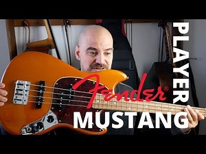 Fender Mustang PJ Player. Un Mustang Único desde México.