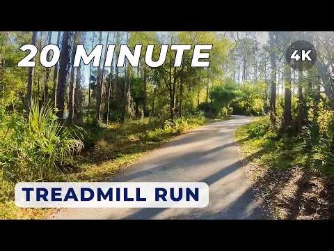 20 Minute | Virtual Running Video for Treadmill | Trail Run