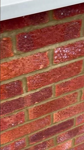 Stormdry applied to brickwork