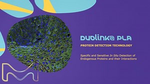 Duolink® PLA Protein Detection Technology