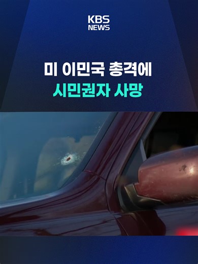 미네소타주 불법 이민자 단속 중 총격 사건