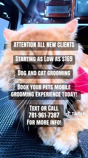 Affordable Mobile Pet Grooming Starting at $169