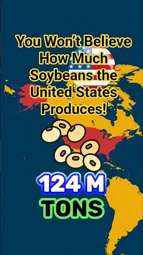 You Won’t Believe How Much Soybeans the United States Produces!