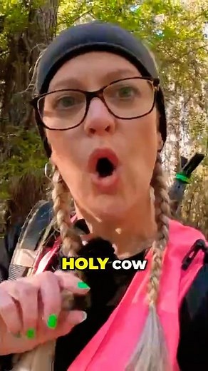 Wild Pigs EXPOSED at Lunchtime!