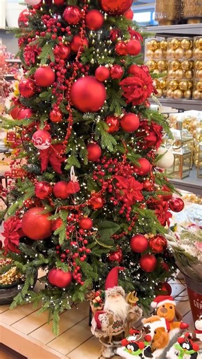 Il Natale continua a illuminare Primula Gialla! 🎄 Tra allestimenti, idee per decorare e dettagli che fanno subito Festa, il nostro Garden Center si è rinnovato per regalarti ispirazione. Vieni a vivere il Festival di Natale e lasciati sorprendere passo dopo passo. ✨ 🕐 Orari di dicembre Siamo aperti tutti i giorni (esclusi Natale e Santo Stefano) Dal lunedì alla domenica 9–13 / 15–19 Aperti anche: • Vigilia di Natale dalle 9 alle 19 con orario continuato • San Silvestro dalle 9 alle 13 e dalle 