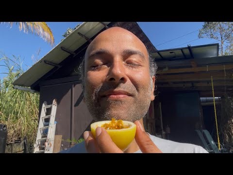 (Swarg Mil Gaya) Enjoying Lilikois @ Heaven on Earth