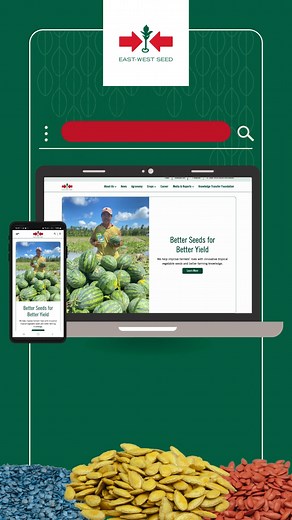 120K views · 8.1K reactions | We are excited to unveil our redesigned website! With an enhanced user experience and powerful new tools, it’s easier than ever to find the perfect seeds for your needs. Explore features like crop comparison, an extensive crop catalogue, and country-specific resources designed for farmers and growers of all scales. Check out www.eastwestseed.com now! | East-West Seed | Facebook