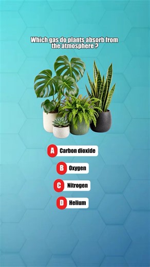 Which gas do plants absorb from the atmosphere