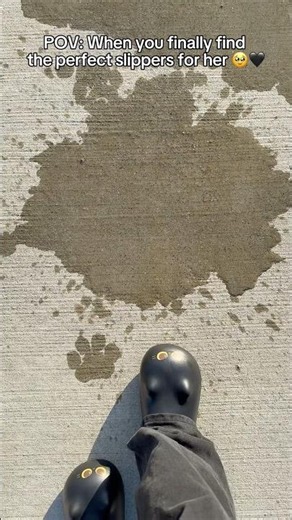 Addicted to making paw prints 😭🐾