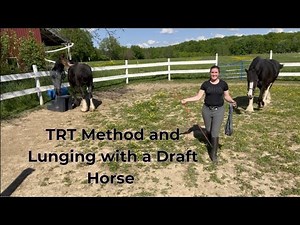TRT Method and Lunging a Draft Horse