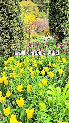 #아침고요수목원 #가평여행 #가평가볼만한곳 #경기도여행 #서울근교나들이 #국내여행 #수목원 #꽃구경 ​#4월여행지 #봄여행 #벚꽃명소 #튤립축제 #능수벚꽃 #야생화전시회 #봄나들이