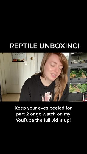 Reptile unboxings are always fun 🐍 #gartersnake #snake #reptileunboxing #reptile #pets