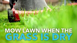 16K views · 94 reactions | These 9 mowing tips will make your lawn the best on the block! | Woman's Day Magazine | Facebook