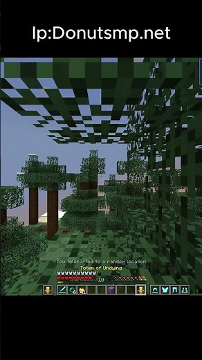 How to fix your bad ping on Donutsmp #donutsmp