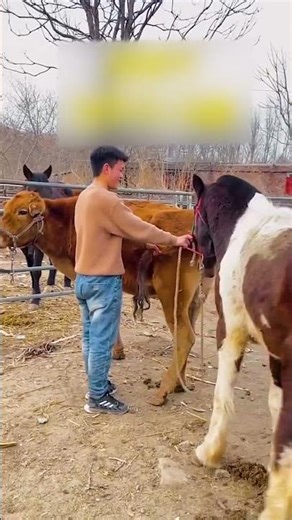 𝙱𝚎 𝚠𝚑𝚘 𝚢𝚘𝚞 𝚠𝚊𝚗𝚝 𝚝𝚘 𝚋𝚎 𝚊𝚗𝚍 𝚗𝚘𝚝 𝚠𝚑𝚊𝚝 𝚘𝚝𝚑𝚎𝚛𝚜 𝚠𝚊𝚗𝚝 𝚝𝚘 𝚜𝚎𝚎