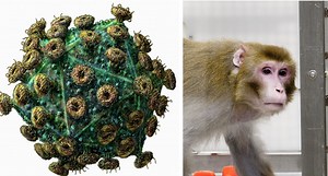 Is a Cure For HIV Much Closer Than We Think?