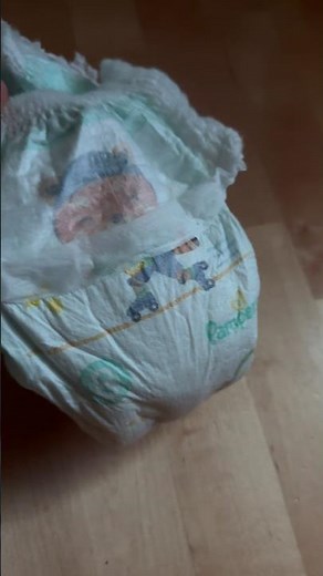 Wet pampers #diaper #diaperwearing #pampers #tbdl #diaperboy
