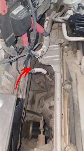 Bmw Remove oxygen sensor