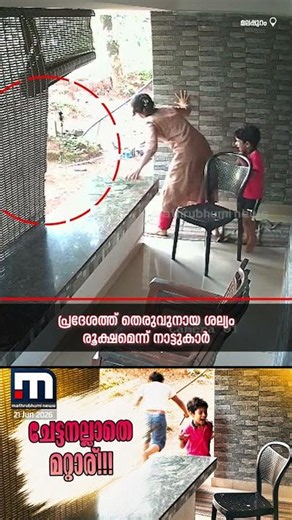 കുഞ്ഞിനെ മറിച്ചിട്ട് മുകളിൽ കയറി തെരുവ് നായ! മുകൾ നിലയിൽ നിന്ന് താഴേക്ക് ചാടി രക്ഷിച്ച് സഹോദരൻ!