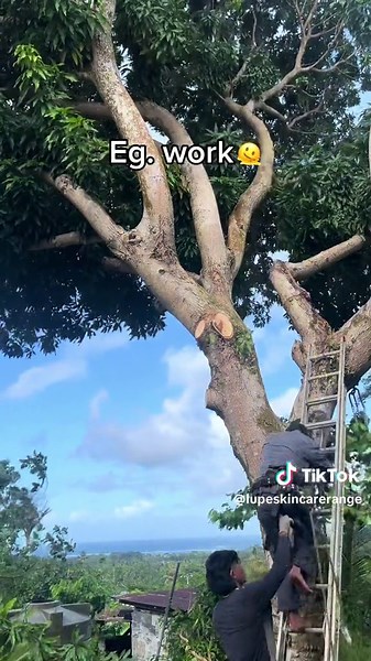 Discover the Vibrant Culture of Samoa